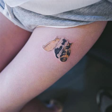 28 Examples Of Small Cat Tattoos