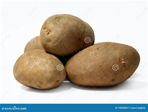 Potatoes Stock Photo Image Of Nutritious Nutrition Cultivated 1834560