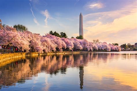 Grotto Travel Guide What To Do In Washington Dc
