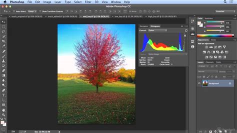 However, as you may have noticed by now, by default, photoshop will only allow you to undo so many times. Reading a histogram and using the info panel in Photoshop ...