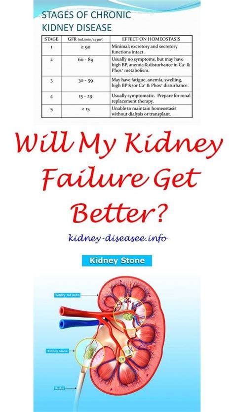 What Is Stage 5 Kidney Disease