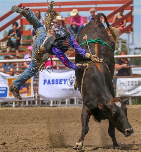 Bailey Schellenberg First Female Steer Rider At Canadian Finals Rodeo Takes One Last Ride