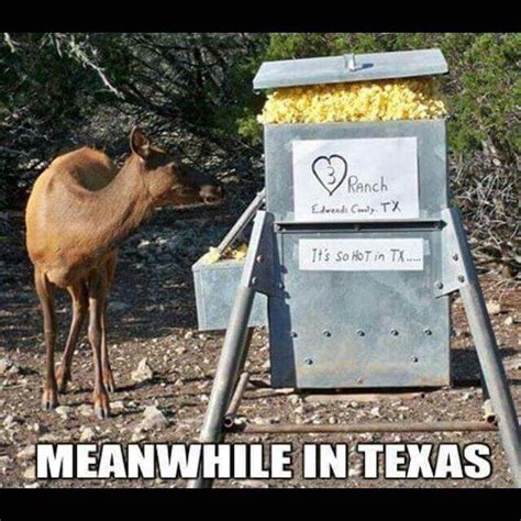 Pin By Dee Barnes On All Things Texas Texas Humor Texas Texas Life