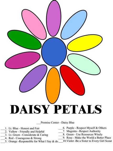 What Daisy Scout Petals Represent