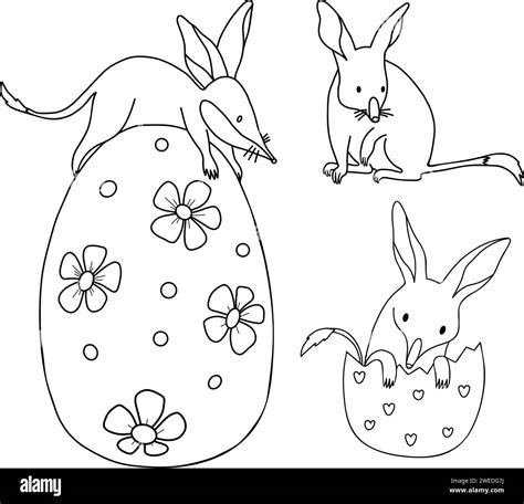 Collection Of Australian Animal Bilbies With Easter Egg Isolated
