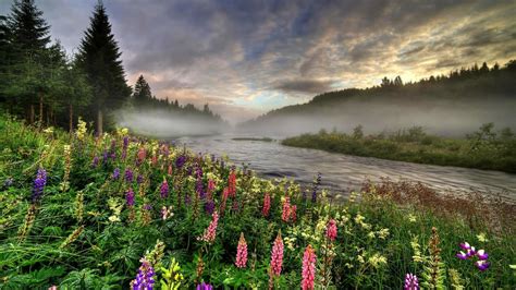 Sunset Over Spring Flowers And River
