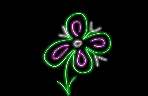 Neon Flower Free Stock Photo Public Domain Pictures