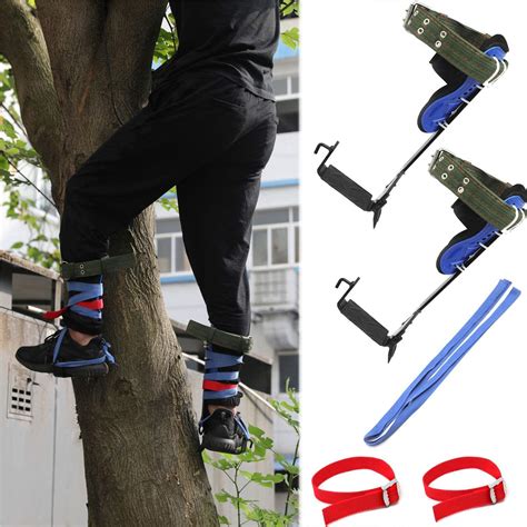 Top 10 Best Climbing Tree Shoes In 2023 Reviews Buyers Guide
