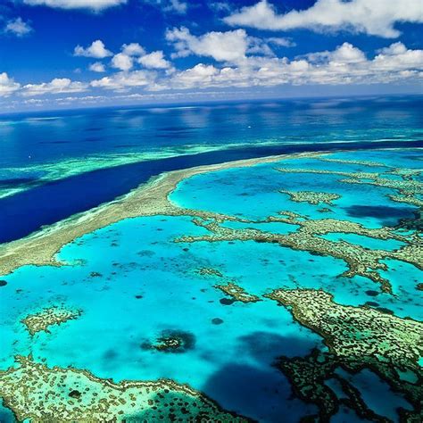 The Great Barrier Reef Australia One Of The Seven Natural Wonders Of
