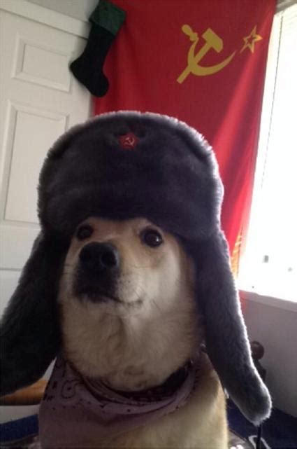Communist Dog Blank Template Imgflip