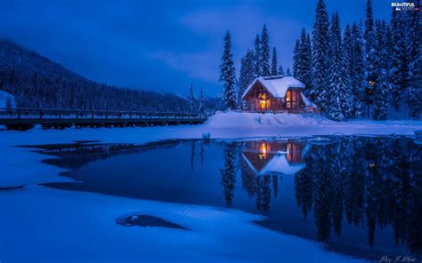Mountains House Province Of British Columbia Winter Canada Trees