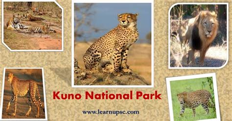 Kuno National Park Learn Upsc