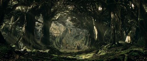 Fangorn Forest Middle Earth Films Wiki Fandom