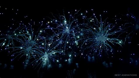 Animated Png Fireworks And Free Animated Fireworkspng
