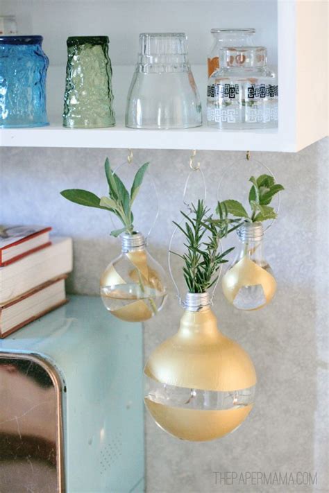 Hanging Lightbulb Herb Vase Hanging Lightbulb Light Bulb Home Diy