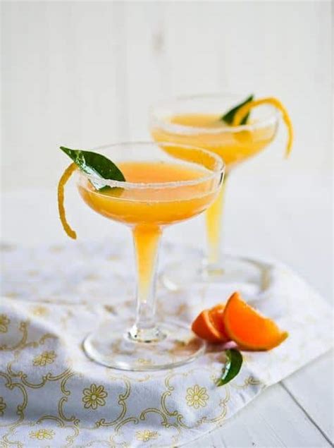 15 citrus cocktails that are so refreshing an unblurred lady