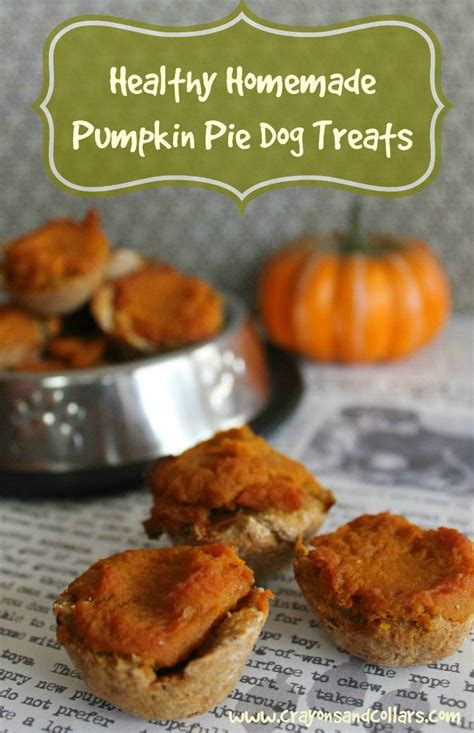 These Pumpkin Pie Dog Treats Are Easy To Make With Only A Few