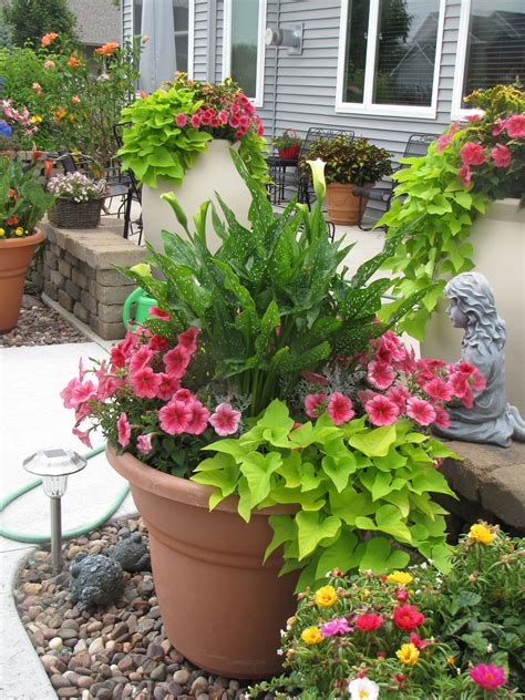 Container Gardening Container Flowers Potted Flowers For Shade