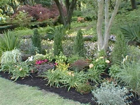 Evergreen Border Plants Garden Design Garden Design With How To Plant A