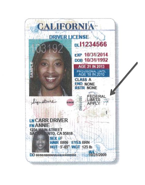 Slideshow California Dmv To Move Forward With Immigrant Drivers
