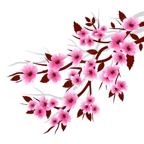 Cherry Blossom Vector Leaves Falling Free Realistic Branch Pink Sakura