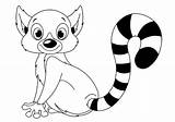 Lemur Coloring Cute sketch template