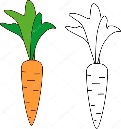 Zanahoria Para Colorear Dibujos Faciles