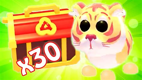 Opening Lunar Tiger Boxes In Adopt Me Roblox Adopt Me Lunar New Year Update Youtube