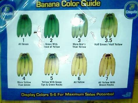 Chiquita S Banana Color Guide Pics
