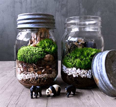 Mason Jar Terrarium Black Bear Panda Or Gorilla Mason Jar