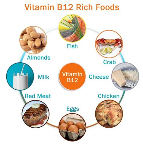 Best Vitamin B6 And B12 Supplements Best B12 Vitamin We Did Not