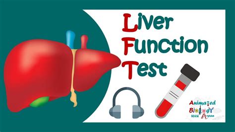 Liver Function Tests What Is The Most Important Test For Liver Function How Lft Works