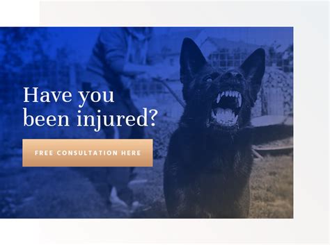 Why You Should Contact A Dog Bite Lawyer