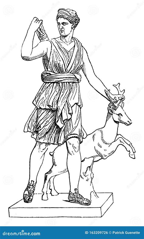 Artemis Vintage Illustration Stock Vector Illustration Of Drawing