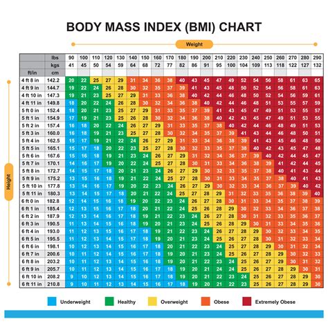How To Calculate Body Fat Based On Height And Weight Haiper