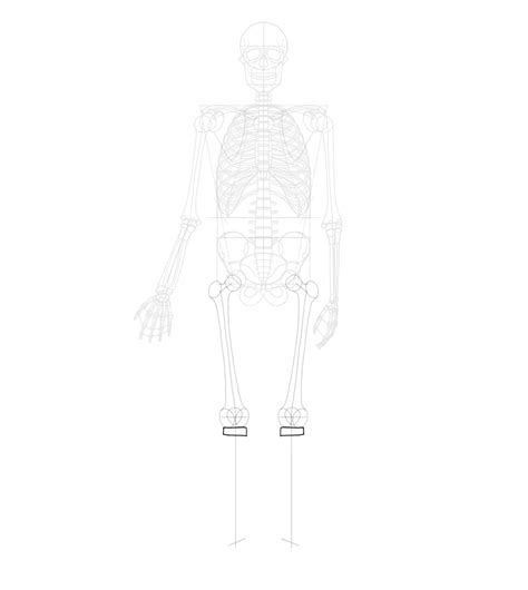 How To Draw A Skeleton Step By Step Laptrinhx