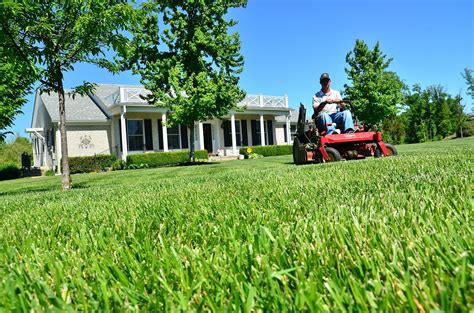 To provide customers with the best products and services they can get. BEST RIDING LAWN MOWER - Garden Product Reviews