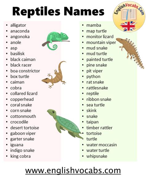 Reptiles Animals Names List From A To Z English Vocabs