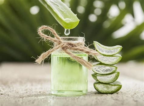 Aloe vera can be used in dandruff treatment and prevention. Aloe Vera For Hair Loss Treatment | Mimosa Beauty Lounge Dubai