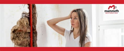 How much does it cost ? How Much Does Water Damage Restoration Cost? | Mammoth ...