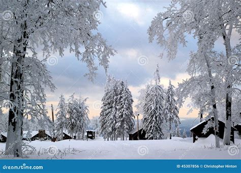 Winter Wonderland Stock Photo Image Of White Beautiful 45307856