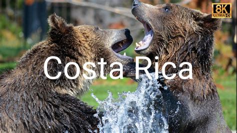 Costa Rica In 8k 60fps Hdr Ultra Hd Youtube