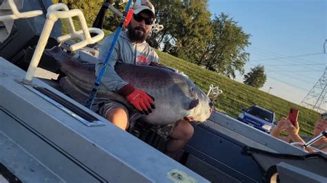 Pending Enormous Blue Catfish Set To Break Tennessee State Record