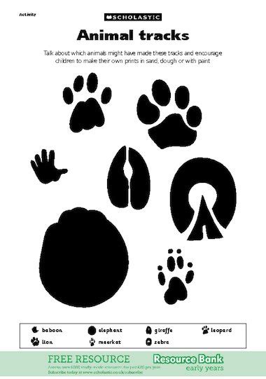 There are three different types of mammal categories: Animal tracks - FREE Early Years teaching resource ...