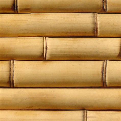Bamboo Texture Seamless 12278
