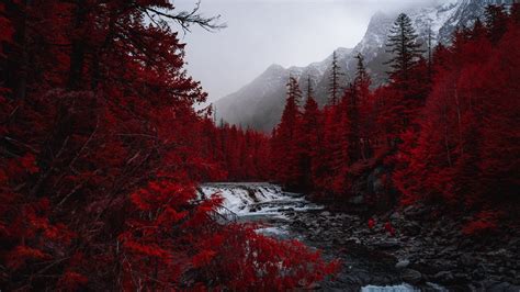 Download Wallpaper 1920x1080 River Trees Red Mountains