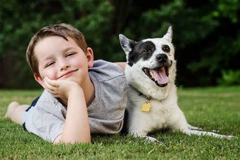 Revista Factorrh Niños 7 Beneficios De Interacción Con Perros
