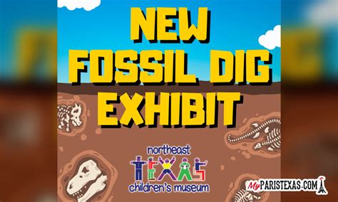 Northeast Texas Childrens Museum Announces New Fossil Dig Exhibit