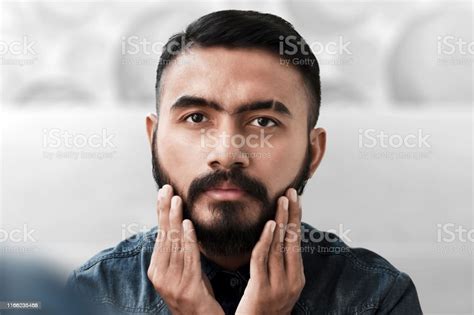 Handsome Bearded Man Touching His Beard Stock Photo Download Image