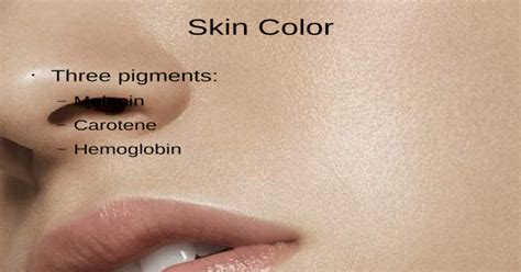 Skin Color Three Pigments Melanin Carotene Hemoglobin